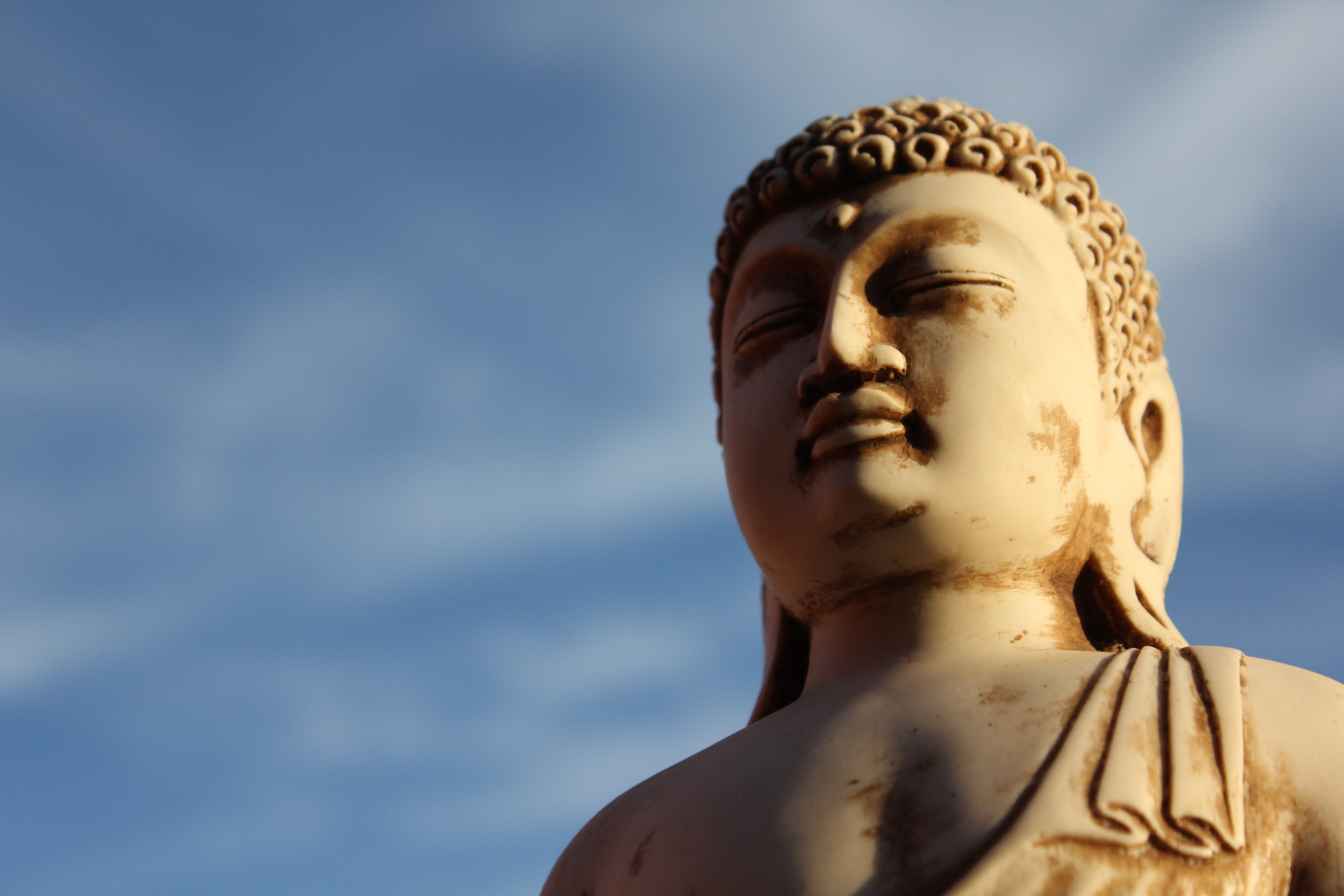 ego et Bouddha